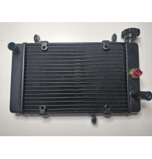 Вентилятор радіатора мотоцикла CYCLONE RX401 (140565)