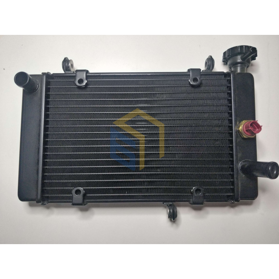 Вентилятор радіатора мотоцикла CYCLONE RX401 (140565)