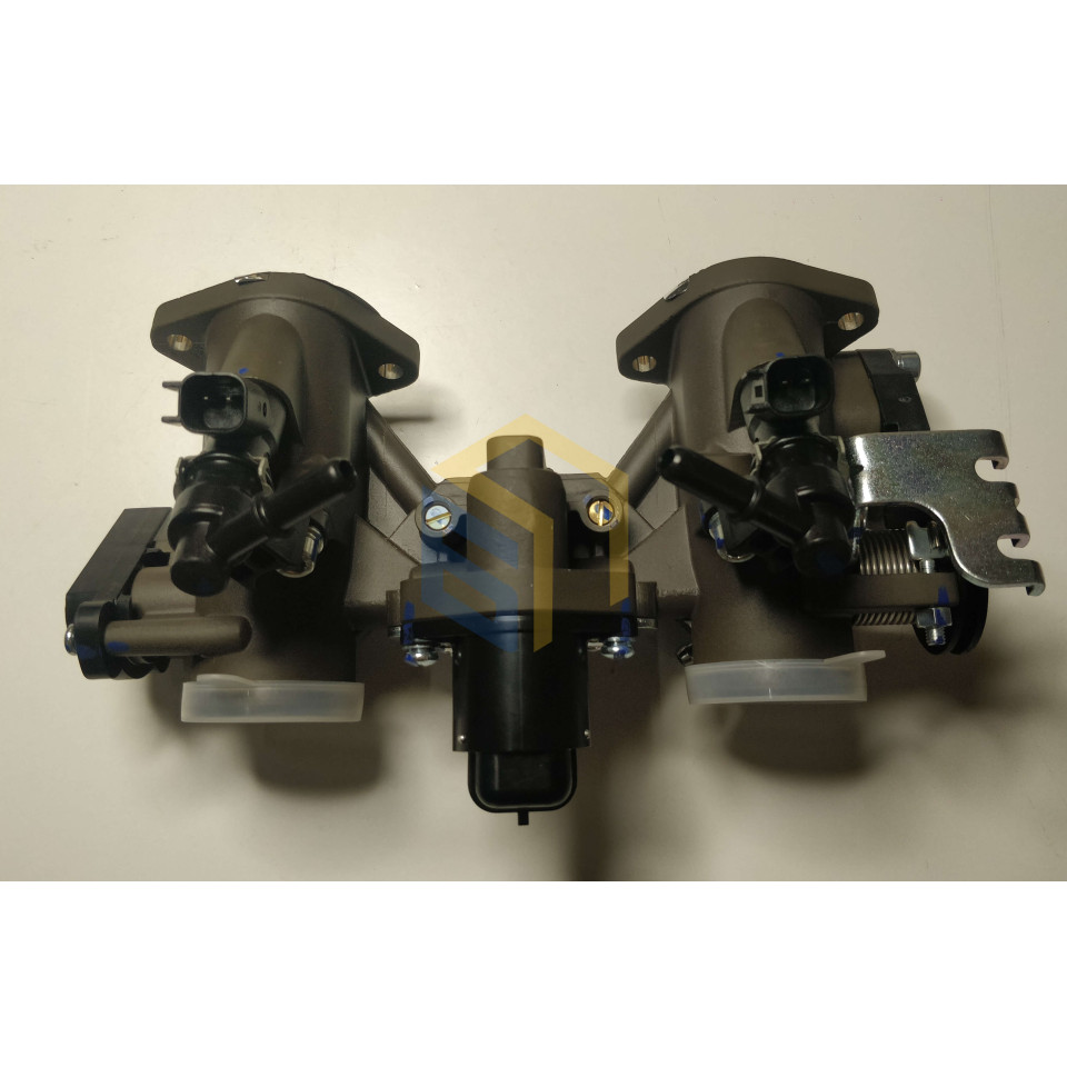 Блок дросельної заслінки мотоцикла CYCLONE RX401 (140587)