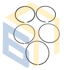 Поршневі кільця в зборі (35855) квадроцикла Linhai 500 (141754)