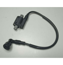 Котушка запалювання мотоцикла Forte FT300GY-C5D (142838)