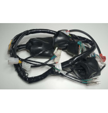 Жгут проводів мотоцикла Forte FT300GY-C5D (142843)