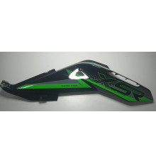 Правий захист паливного бака мотоцикла Forte FT300GY-C5D (142847)