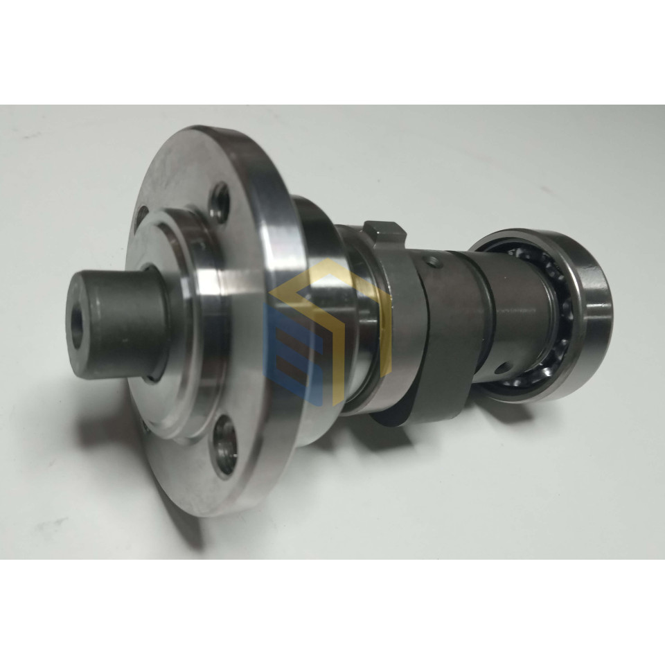 Розподільний вал в зборі двигуна мотоцикла Forte FT300GY-C5D (142908)