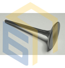 Впускний клапан двигуна мотоцикла Forte FT300GY-C5D (142912)