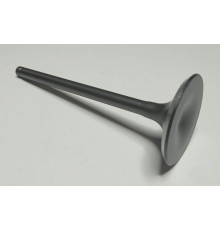 Впускний клапан двигуна мотоцикла Forte FT300GY-C5D (142912)