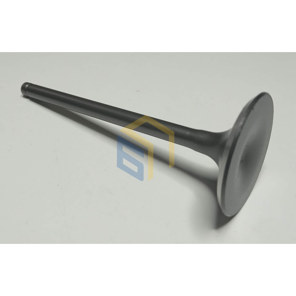 Впускний клапан двигуна мотоцикла Forte FT300GY-C5D (142912)