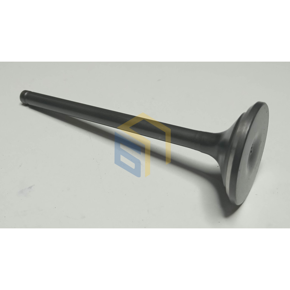 Випускний клапан двигуна мотоцикла Forte FT300GY-C5D (142913)