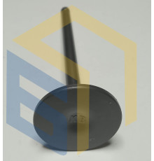 Випускний клапан двигуна мотоцикла Forte FT300GY-C5D (142913)