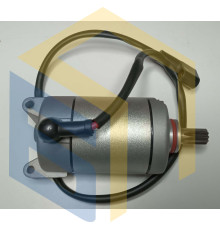 Стартер в зборі (9T) двигуна мотоцикла Forte FT300GY-C5D (142924)