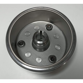 Ротор магнето двигуна мотоцикла Forte FT300GY-C5D (142925)