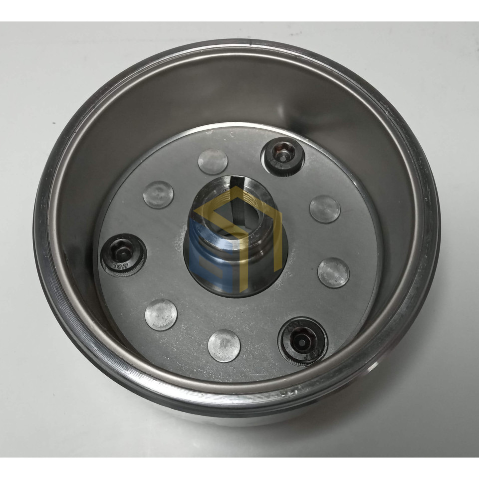 Ротор магнето двигуна мотоцикла Forte FT300GY-C5D (142925)