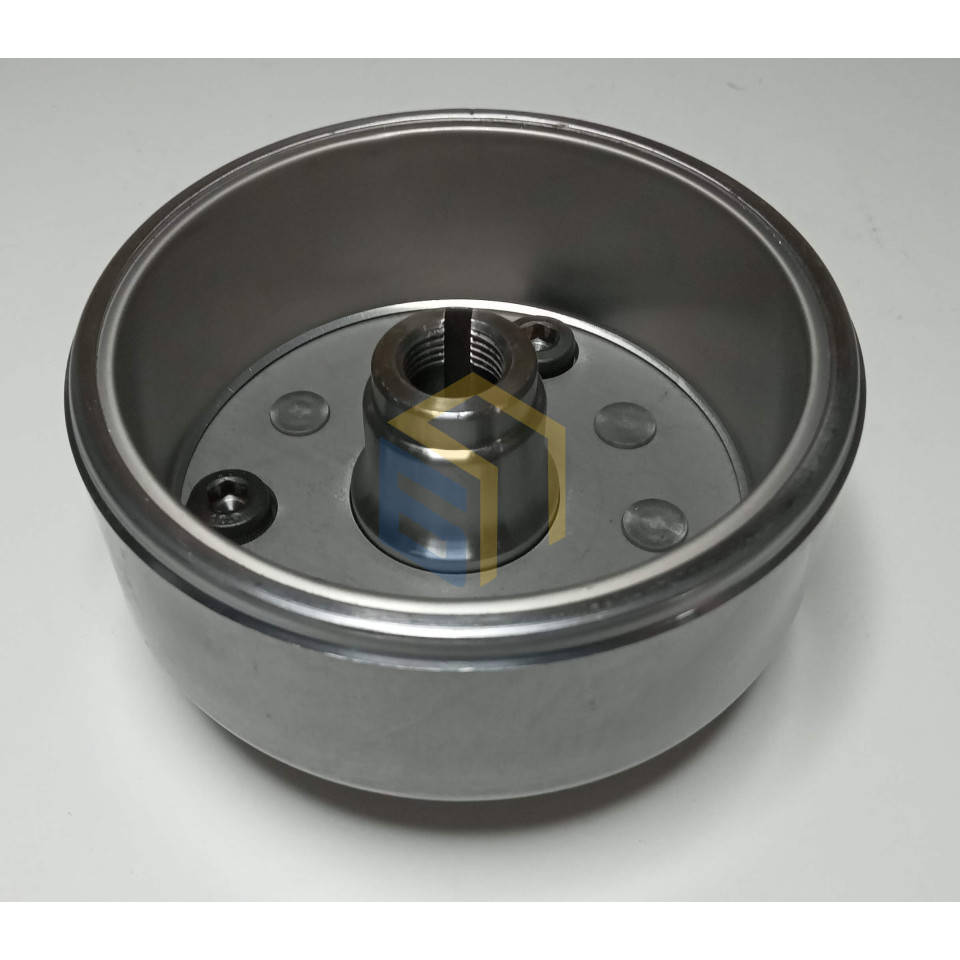 Ротор магнето двигуна мотоцикла Forte FT300GY-C5D (142925)