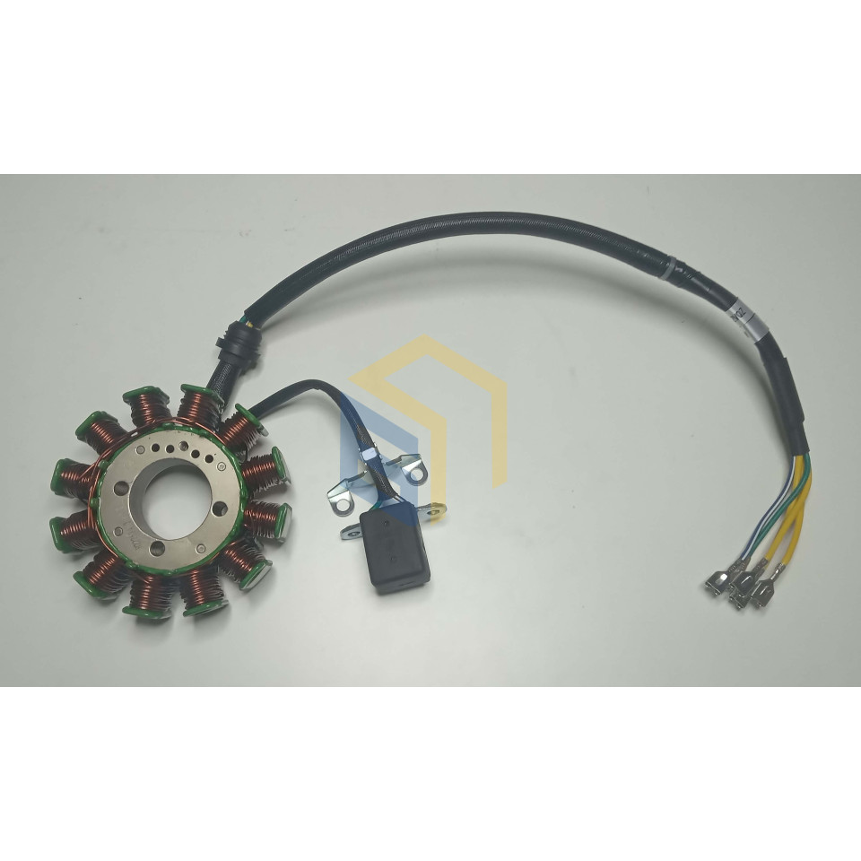 Статор магенто двигуна мотоцикла Forte FT300GY-C5D (142926)