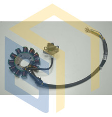 Статор магенто двигуна мотоцикла Forte FT300GY-C5D (142926)