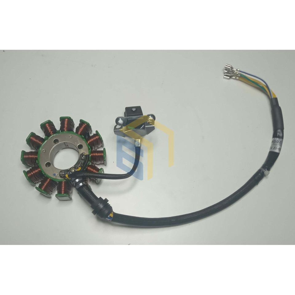 Статор магенто двигуна мотоцикла Forte FT300GY-C5D (142926)