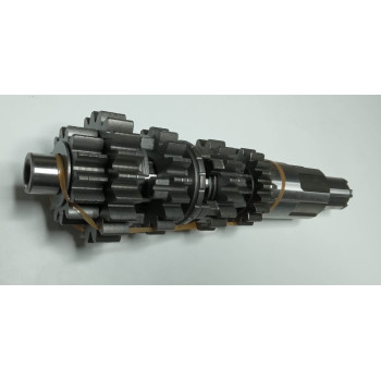 Головний вал в зборі двигуна мотоцикла Forte FT300GY-C5D (142931)