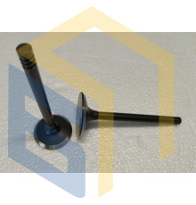 Клапани комплект (впуск + випуск) генератора дизельного FGD11000Е (144330)