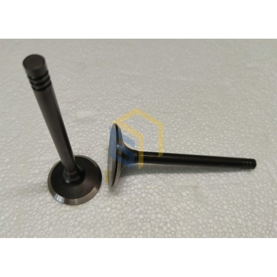 Клапани комплект (впуск + випуск) генератора дизельного FGD11000Е (144330)