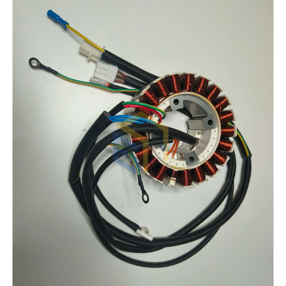 Статор генератора інверторного Forte FG4050i (148461)