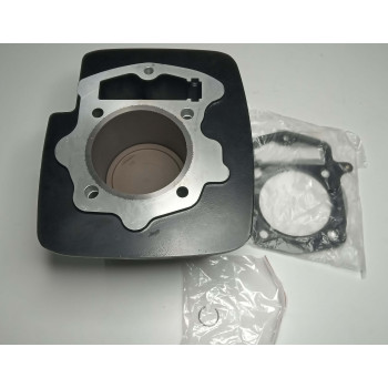 Поршньова в зборі мотоцикла Forte FT300GY-C5D (151298)