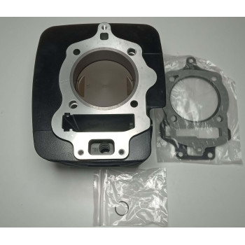 Поршньова в зборіі двигуна DR300 (173FMN) мотоцикла Forte CROSS 300 MAX, FT300GY-C5K, FT300GY-C5J, FT300GY-C5G (151301)