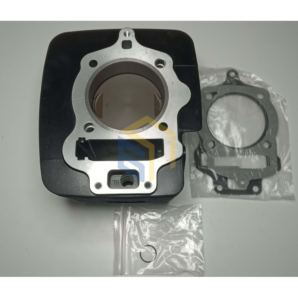 Поршньова в зборіі двигуна DR300 (173FMN) мотоцикла Forte CROSS 300 MAX, FT300GY-C5K, FT300GY-C5J, FT300GY-C5G (151301)