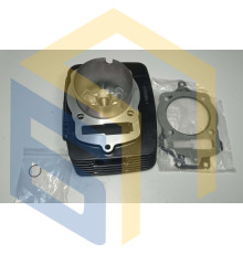 Поршньова в зборіі двигуна DR300 (173FMN) мотоцикла Forte CROSS 300 MAX, FT300GY-C5K, FT300GY-C5J, FT300GY-C5G (151301)