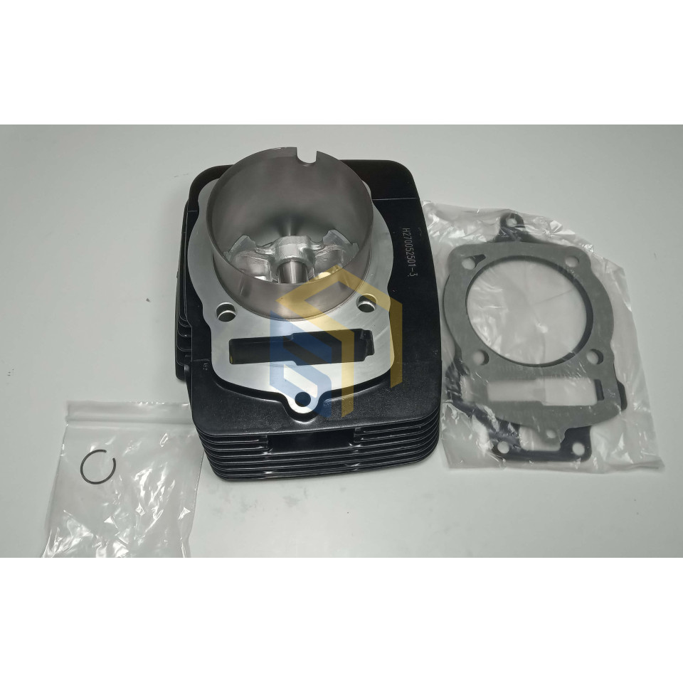 Поршньова в зборіі двигуна DR300 (173FMN) мотоцикла Forte CROSS 300 MAX, FT300GY-C5K, FT300GY-C5J, FT300GY-C5G (151301)