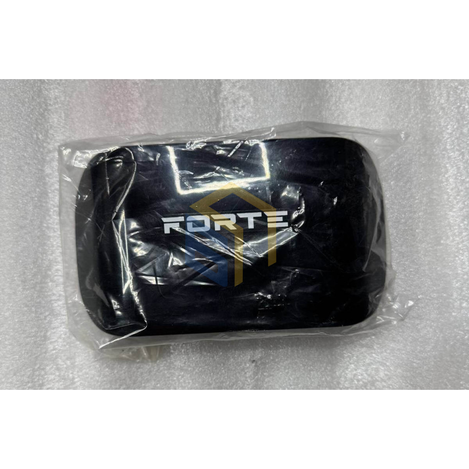 Спинка сидіння пасажира електроскутера FORTE CR800 (151393)