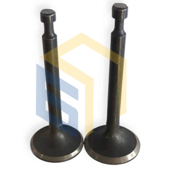 Клапани (комплект 168F) генератора бензинового FG3500E (29687)