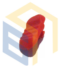 Клавіша вимикача УШМ болгарки Forte EG 10-125 N (35138)