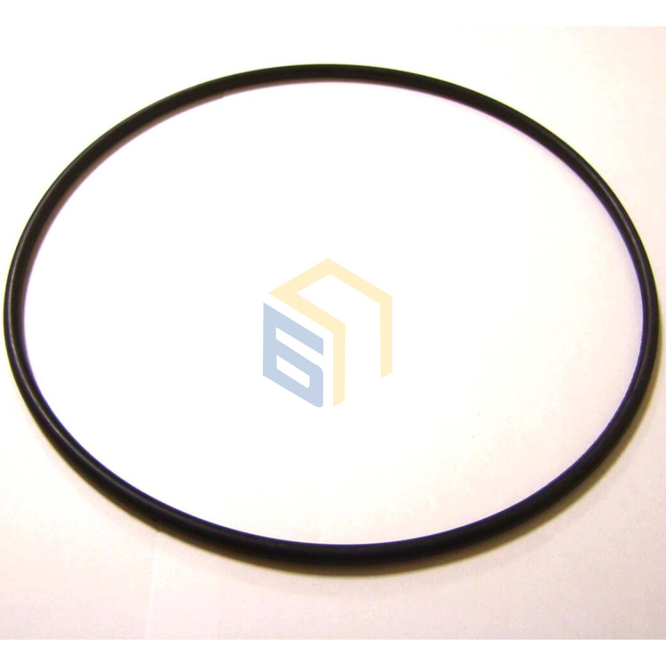 Кільце ущільнювальне насосної станції Werk XKJ-1101 IA5 (46285-1101)