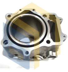 Цилиндр двигателя квадроцикла Linhai LH550ATV-L EFI (99892)